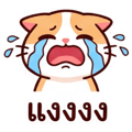 881821489