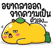 881821805