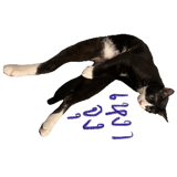 881823878