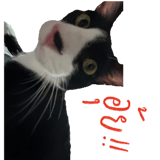 881823884