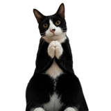 881823896