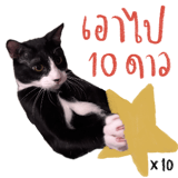 881823912