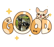 881826011