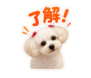 881826402