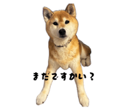 881828593