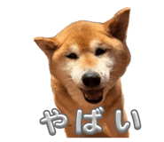 881828600