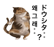 881851062
