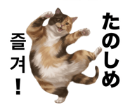 881851076