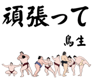 881868532