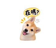 881870826
