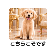 881874049