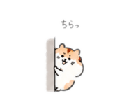 881876138