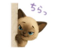 881877951