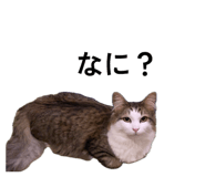 881888848
