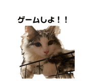 881888850