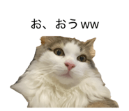 881888852
