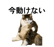 881888854