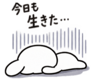 881891762