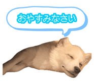 881893123