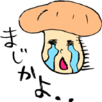 8818991