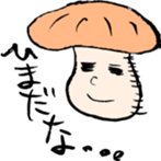 8818992
