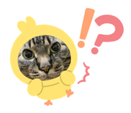 881899482