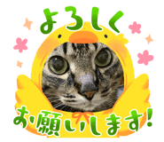 881899483