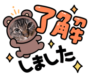 881899486