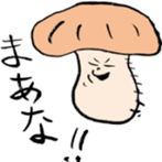 8819023