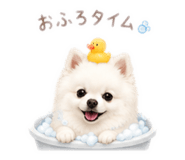 881910613