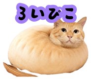 881912105