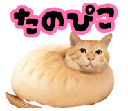 881912106