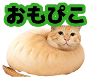 881912109