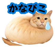 881912110