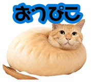 881912112