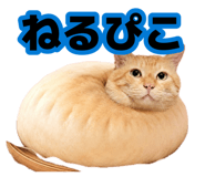 881912113