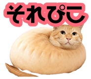 881912116
