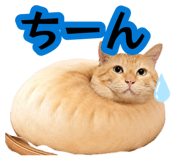 881912119