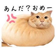 881912120