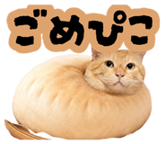 881912127