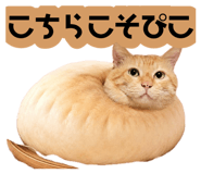 881912128