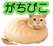 881912130
