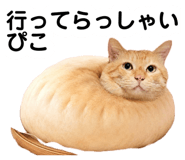 881912131