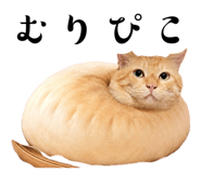 881912136