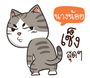 881913260