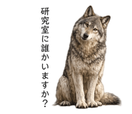 881923552