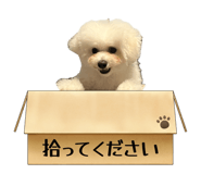 881986150