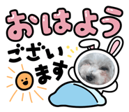 881986151