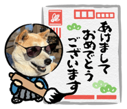 881986645