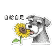 882000294